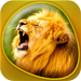 Animals 360 Gold